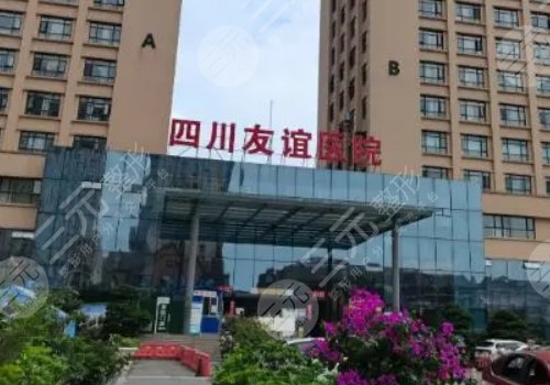 改脸型整形手术医院
