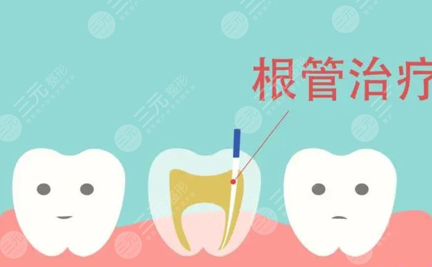 牙齿