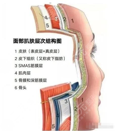 7d聚拉提和超声炮的区别在哪里