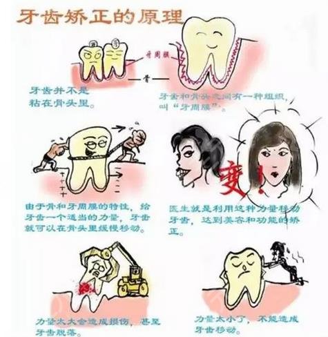 上海新华医院口腔科特色项目