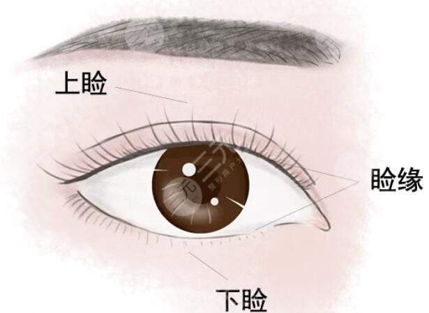 眼周良恶性肿物切除