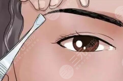 纹眉