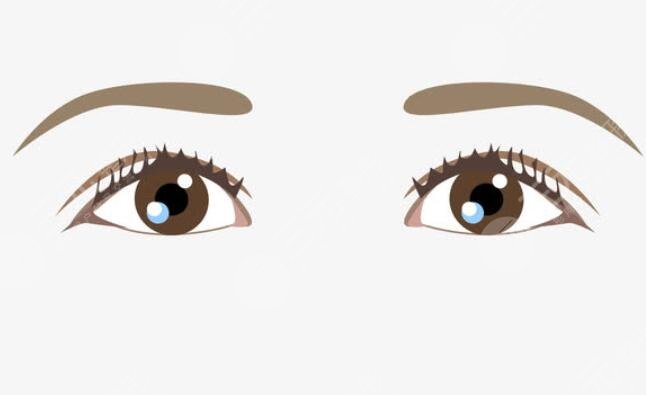 纹眉