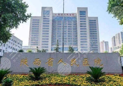 陕西省人民医院王本峰简历