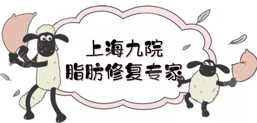 上海九院脂肪修复专家排