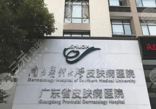 罗毅个人资料简介及图片