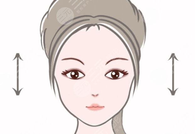 双眼皮
