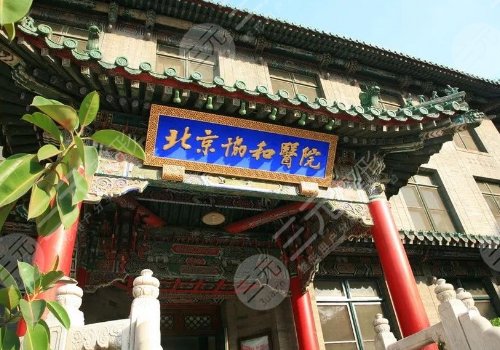 北京脂肪隆胸医院