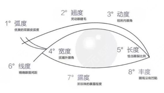 双眼皮
