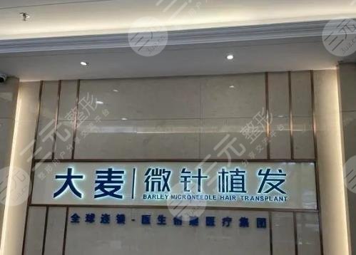 武汉大麦微针植发医