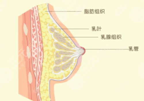 南昌一附医院隆胸