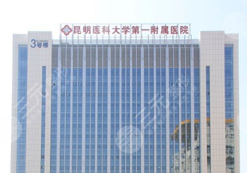云南假体丰胸哪家医院好