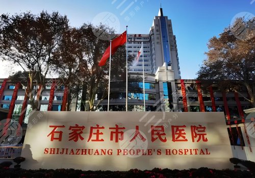 河北假体隆胸医院排名