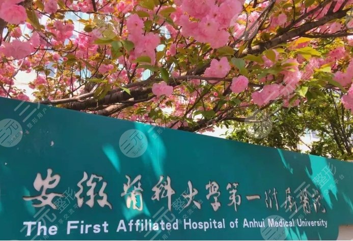 安徽医科大学第一附属医院