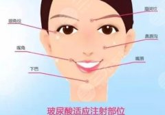 姣兰玻尿酸和伊婉丰唇哪个好?其区别有哪些? 姣兰玻尿酸和伊婉丰唇哪个好?其区别有哪些?