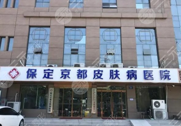 保定京都皮