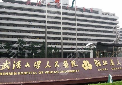 吴小蔚缩胸技术怎么样