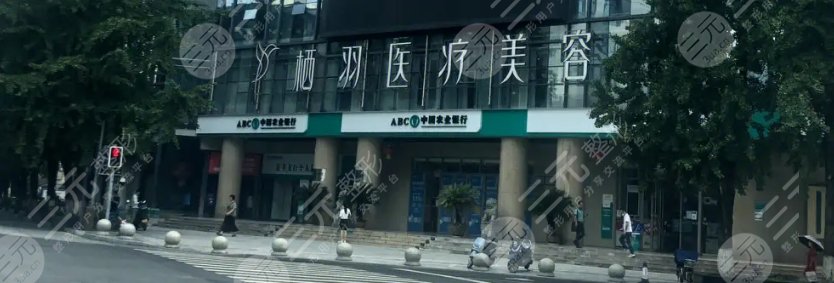 成都青羊栖羽医疗美容门诊部