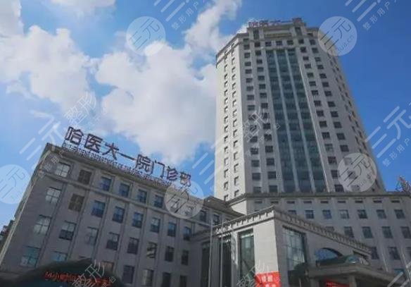 哈医大一院
