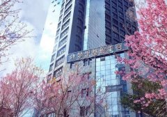 昆明梦想做鼻子医生是谁？宋俊辉医生技术在线