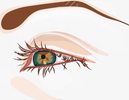 眼综合动漫图