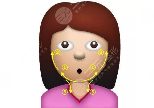 轮廓固定能维持多久