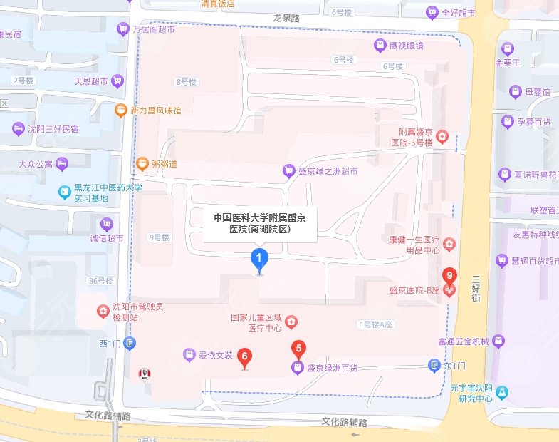 盛京医院医疗地址