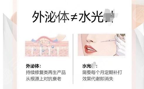 术唯可水光和迪传奇水光哪个好