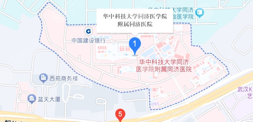 武汉同济医院地址