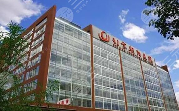 首都医科大学附属北京朝阳医院