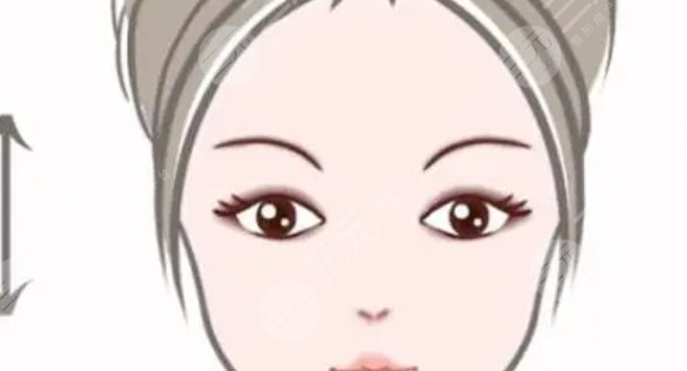 双眼皮