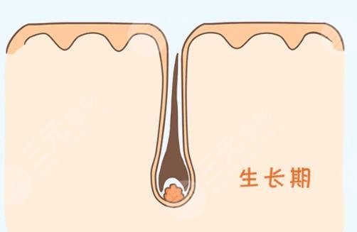 北京大学深圳医院植发