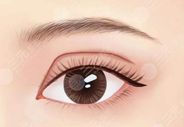 武汉大学人民医院整形外科