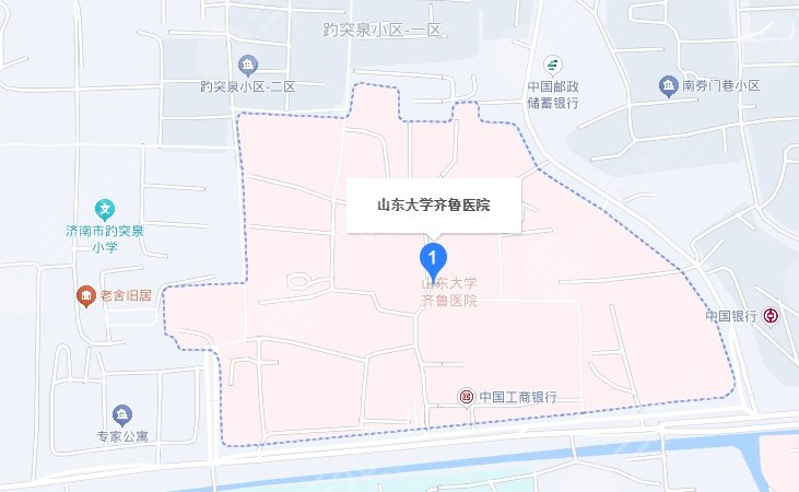 山东大学齐鲁医院地址
