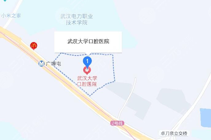 武汉大学口腔医院地址