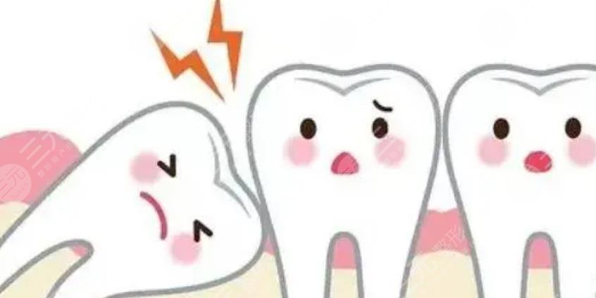 智齿