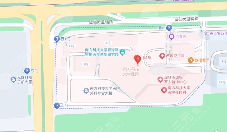 南方科技大学医院地址