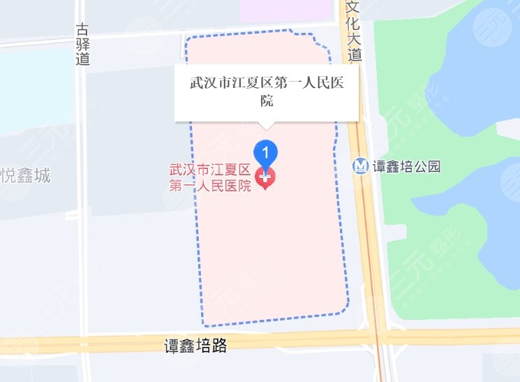 武汉市第一人民医院地址