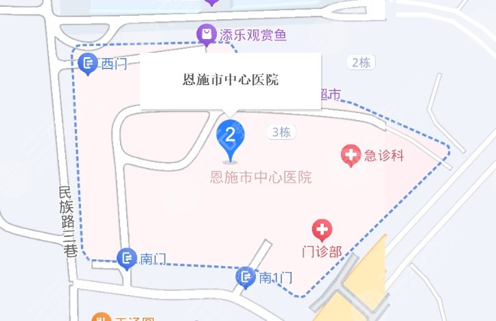 恩施中心医院地址