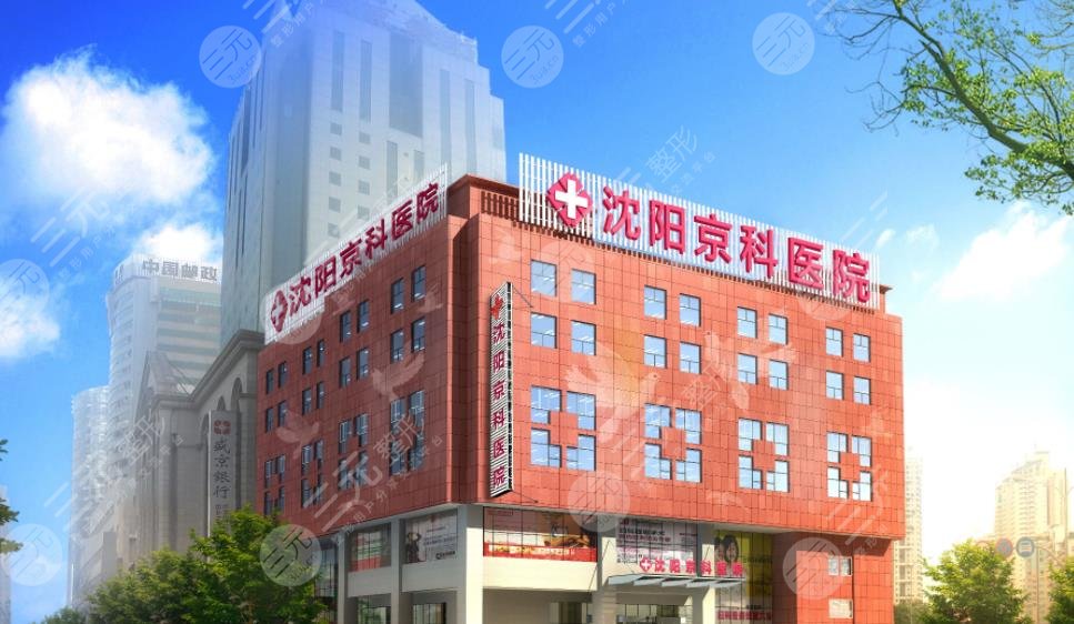 沈阳京科