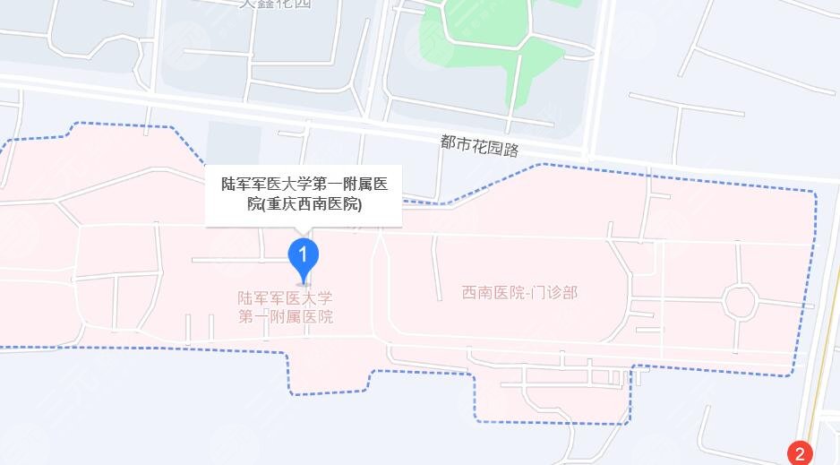 重庆西南医院地址