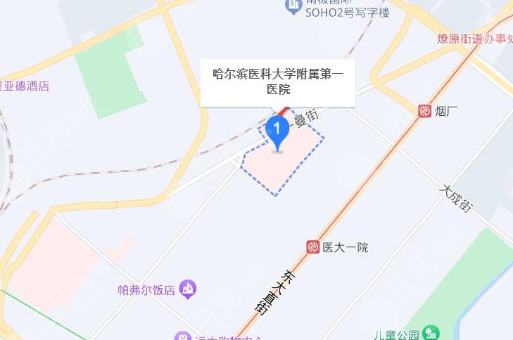 哈尔滨医科大学附属第一医院地址