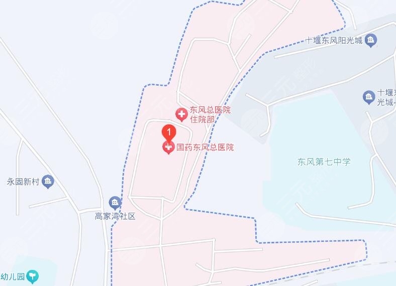 国药东风总医院地址