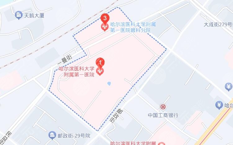 哈医大一院地址