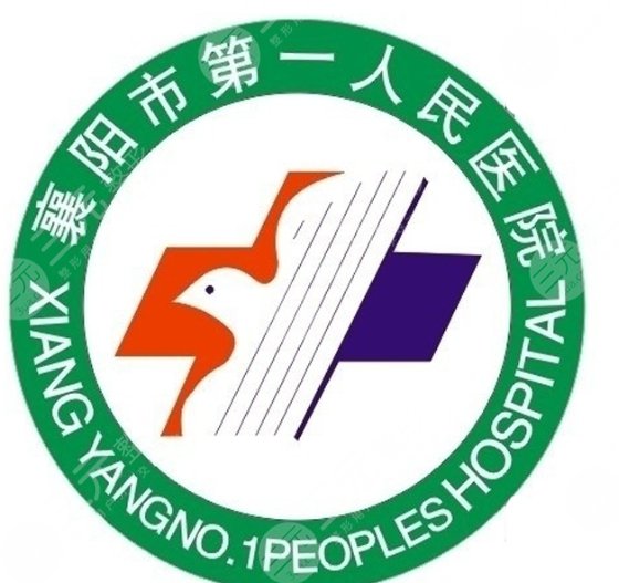 襄阳市第一人民医院