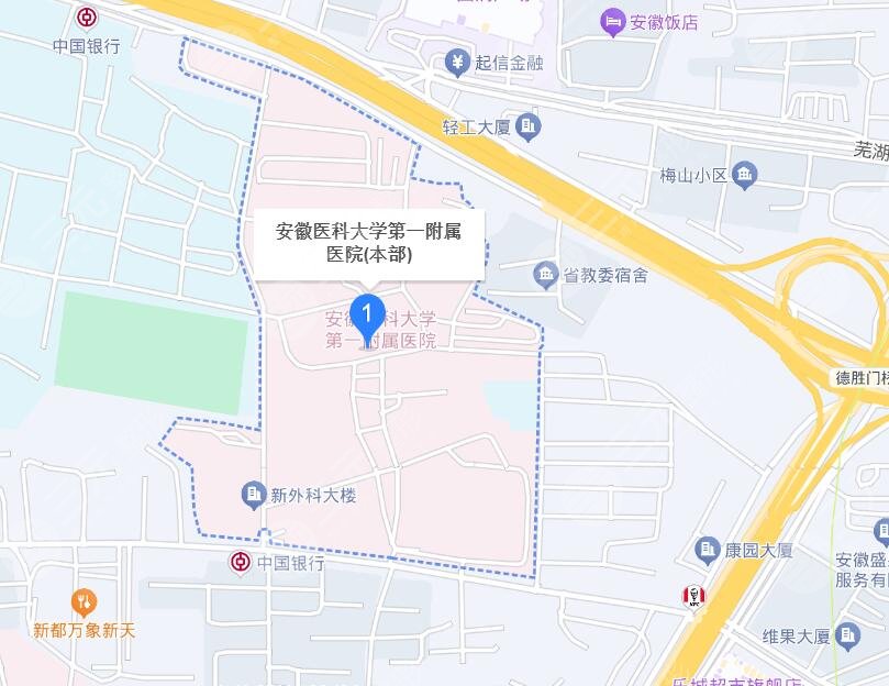 安徽医科大学第一附属医院地址