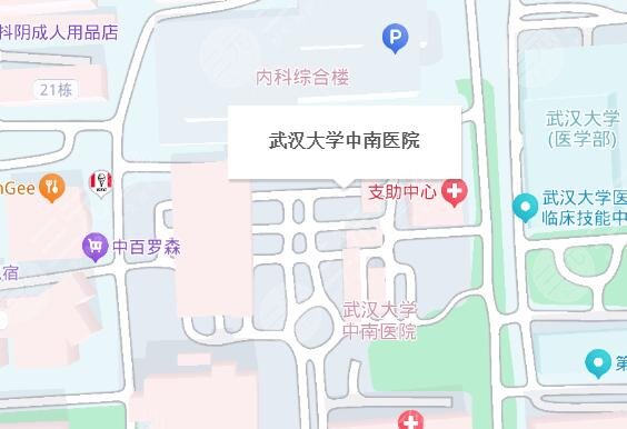 武汉中南医院地址