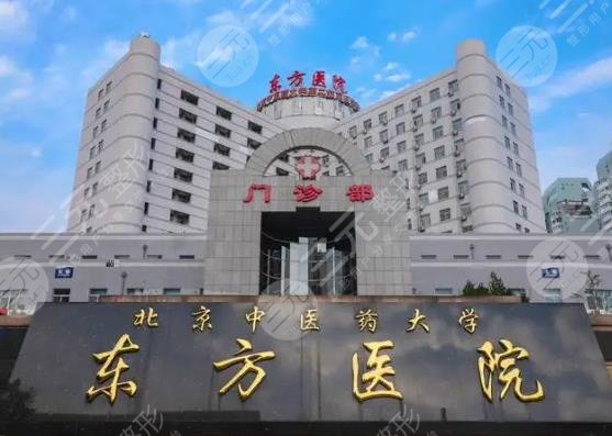 北京中医药大学东方医院