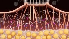 滚针的作用与功效是什么？嫩肤抗衰项目相关知识科普