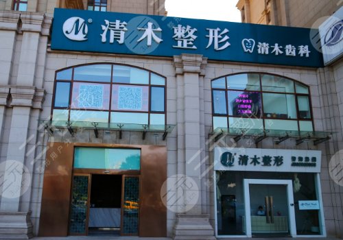 清木的马梅生吸脂如何